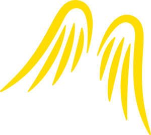 Provinzial Versicherung