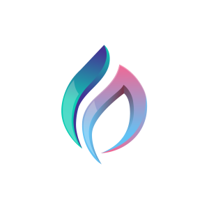 CAREGALLANT LTD