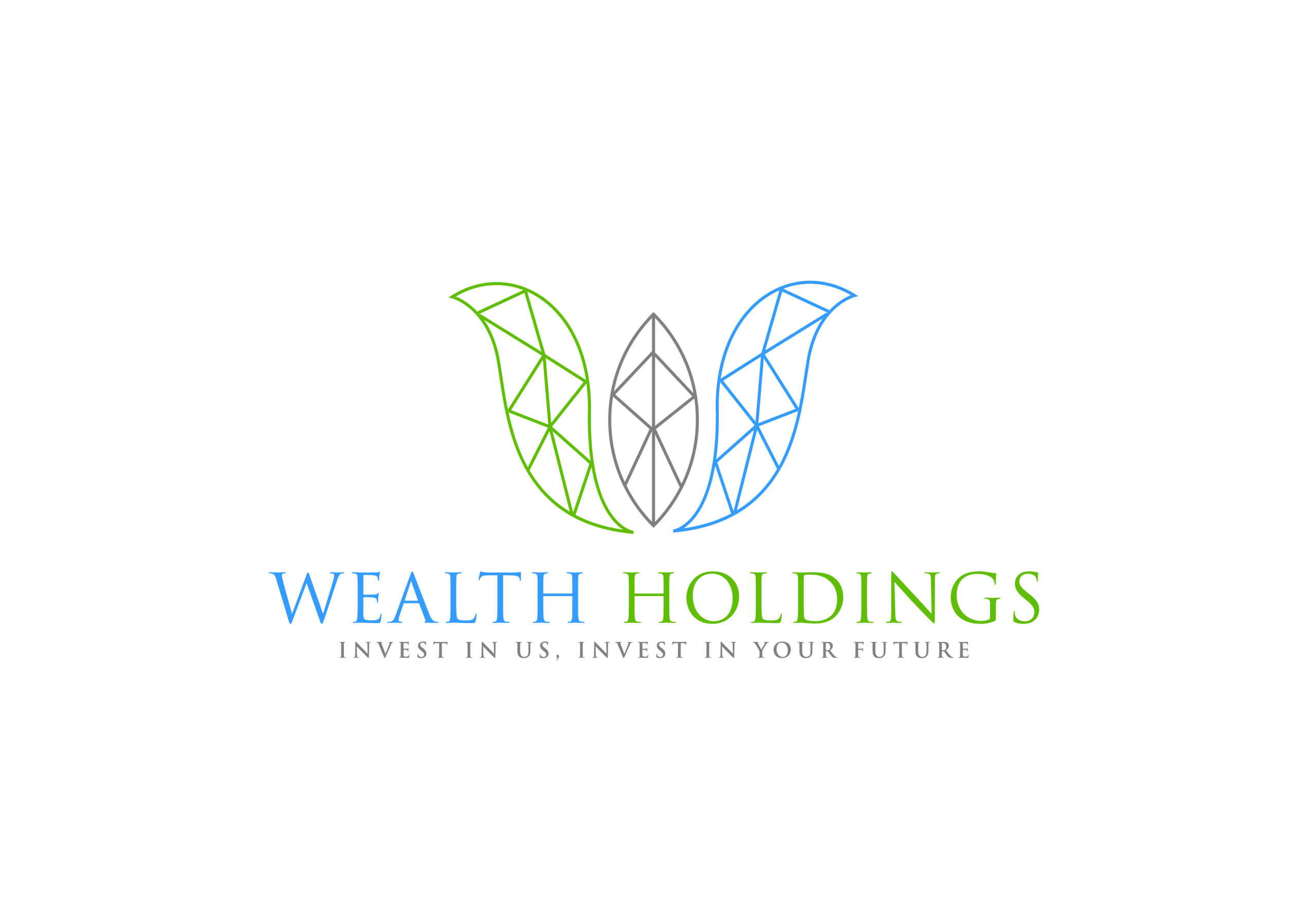 Wealth Holdings