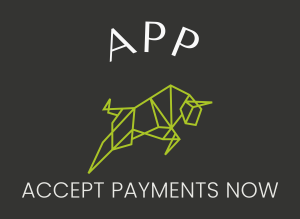 Advanced Payments Processing, INC