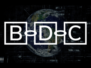 BDC Blockchain Development & Consulting Group Ltd.