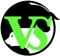 VS Options Trading