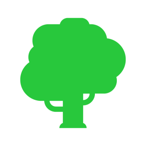 Greentree Financial Planning