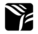 Western Financial