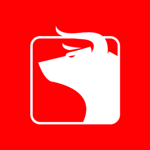 Boğa | Fintech Marketing Agency