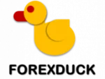 forexduck.com